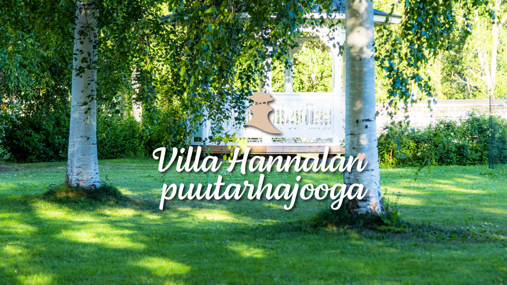 Hannalan puutarhan koivuja.